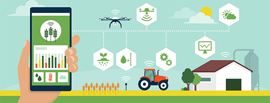 IoT in Smart Agriculture